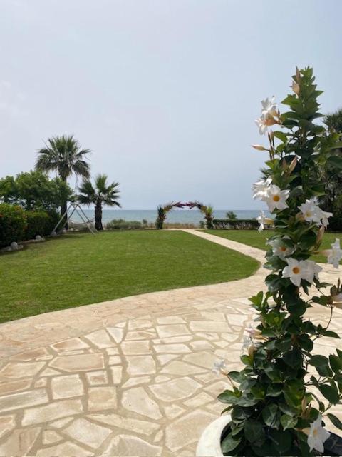 Ionion Beachfront Villa アヤナパ エクステリア 写真
