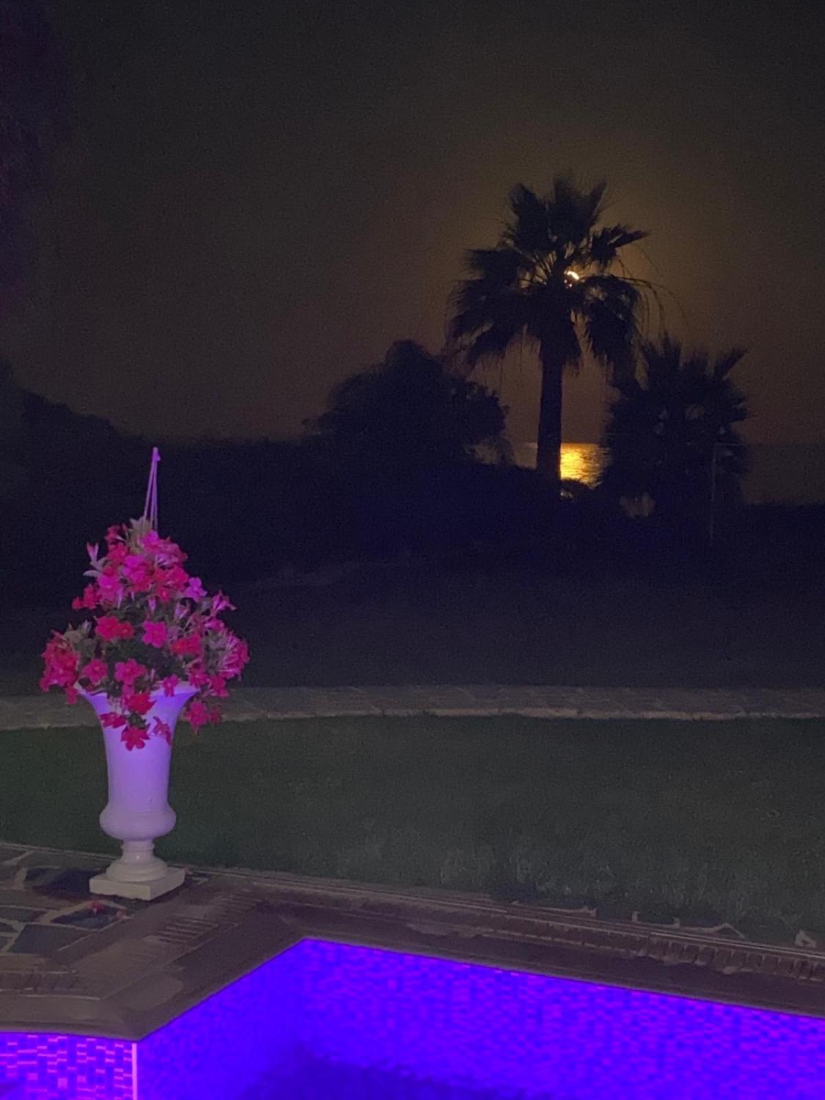 Ionion Beachfront Villa アヤナパ エクステリア 写真