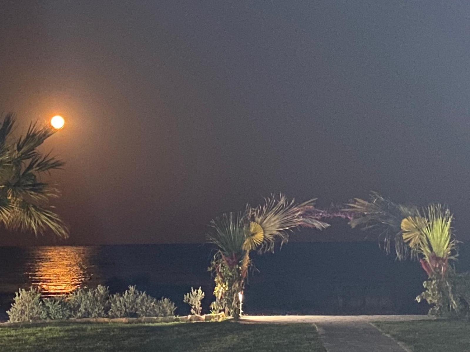 Ionion Beachfront Villa アヤナパ エクステリア 写真