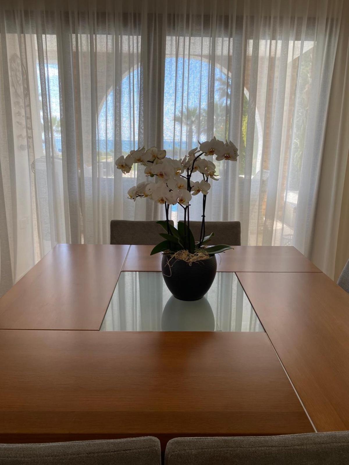 Ionion Beachfront Villa アヤナパ エクステリア 写真