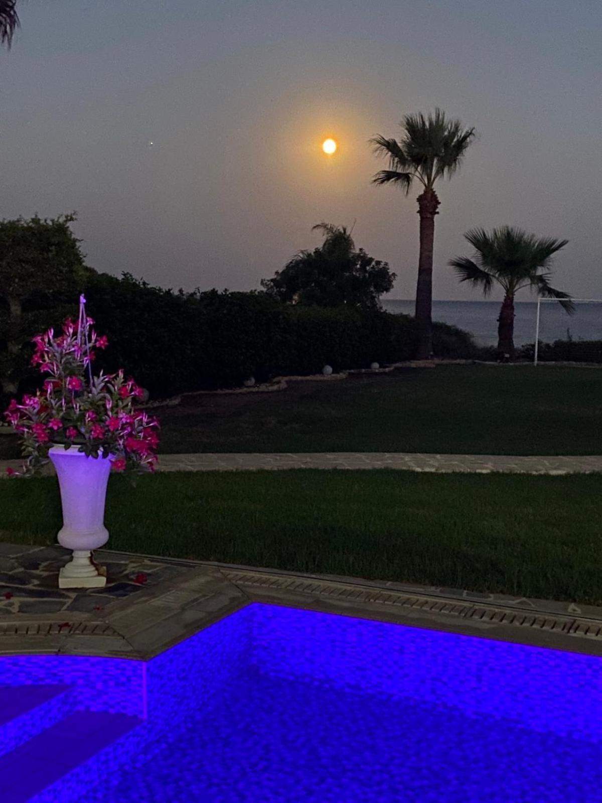 Ionion Beachfront Villa アヤナパ エクステリア 写真